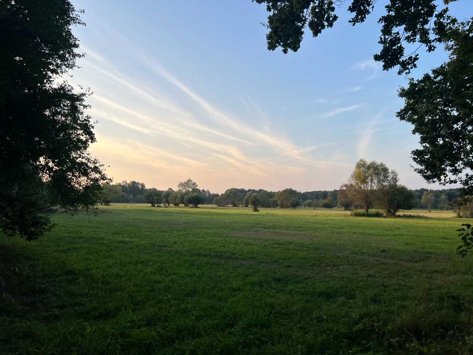 Działka z WZ pod domek całoroczny przy jeziorze i rezerwacie, las staw
