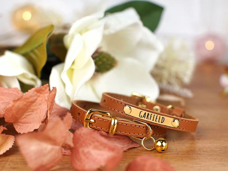 Ошейник Для Кота Котят Кошек Персоналізація Акція Дзвіночок Укр Шкіра