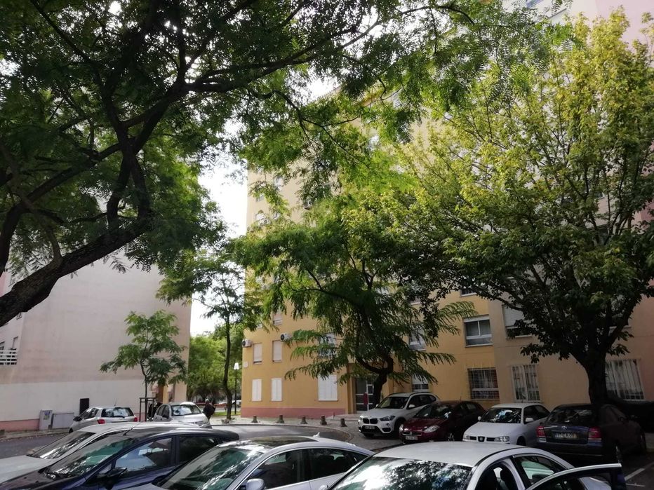 Quarto Telheiras - Rua Professor Prado Coelho