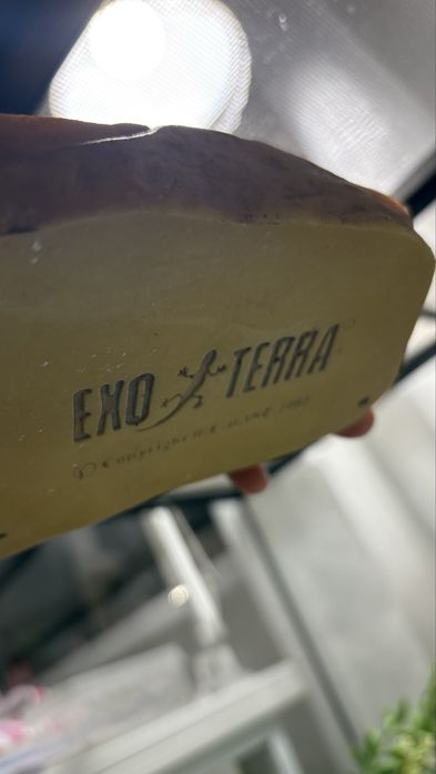 Тераріум Exo terra 60*45*45