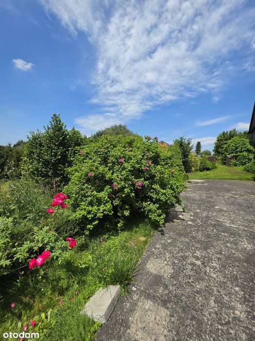 Dom – Osiek - Widok 5