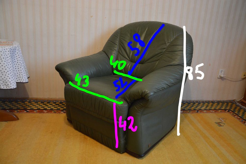 Skórzany fotel Kler