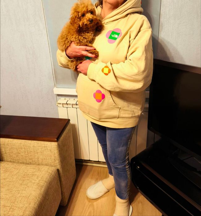 Продам мальтипу 17000