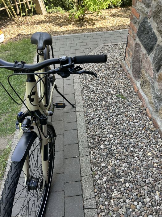 Rower Cube Nature Pro