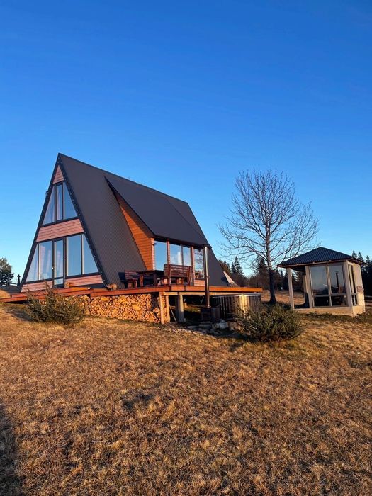 Будинок в горах. Відпочинок в Карпатах.