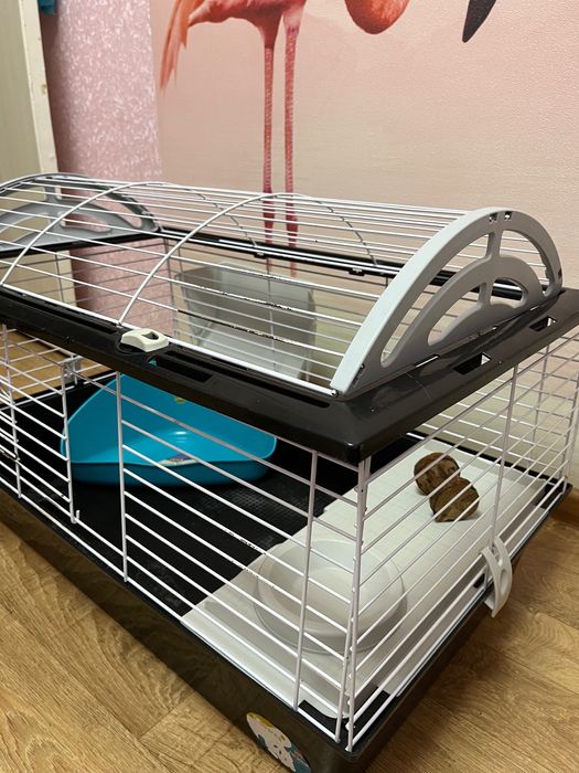 Клітка для гризунів