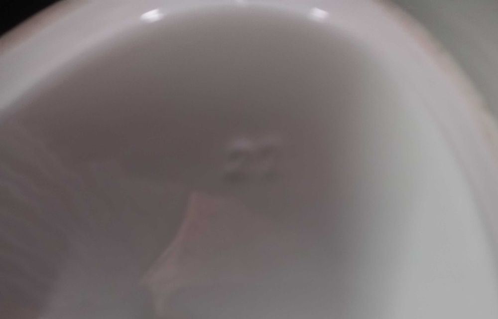 Terrina Vista Alegre marca 29 (em uso de 1922 a 1947) como nova