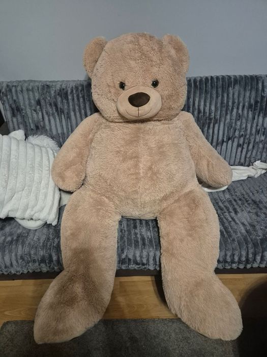 Pluszowy miś 200cm