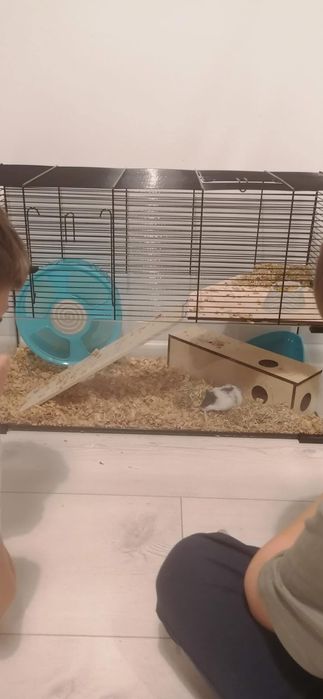 Klatka/akwarium dla chomika