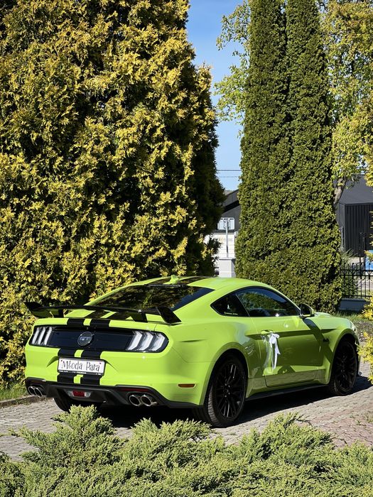 Samochód do ślubu! BMW X4 i MUSTANG GT / Auta na wesele, ślub