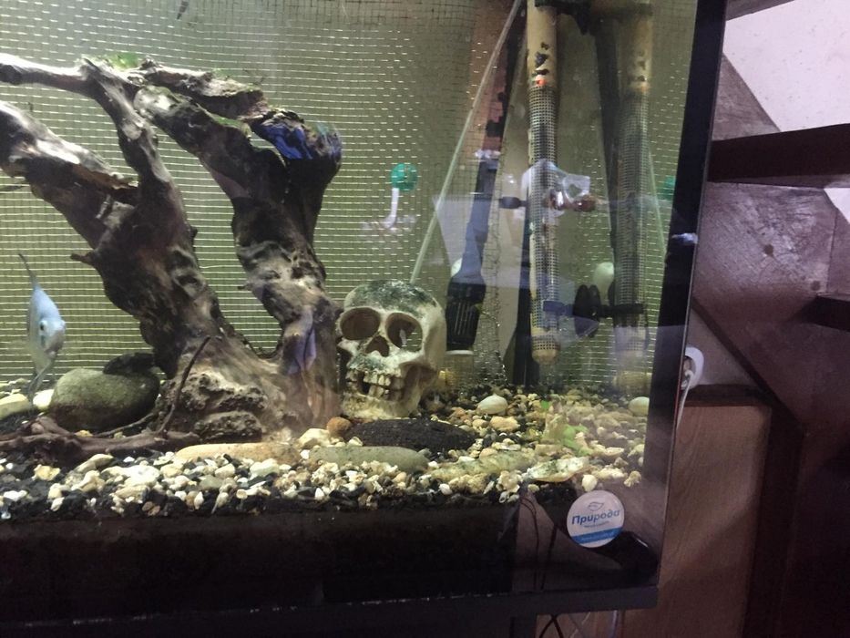 Аквариум 250л с лампами и тумбой