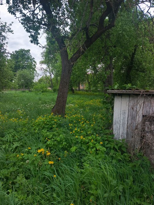 Продається будинок в с.Кожухівка