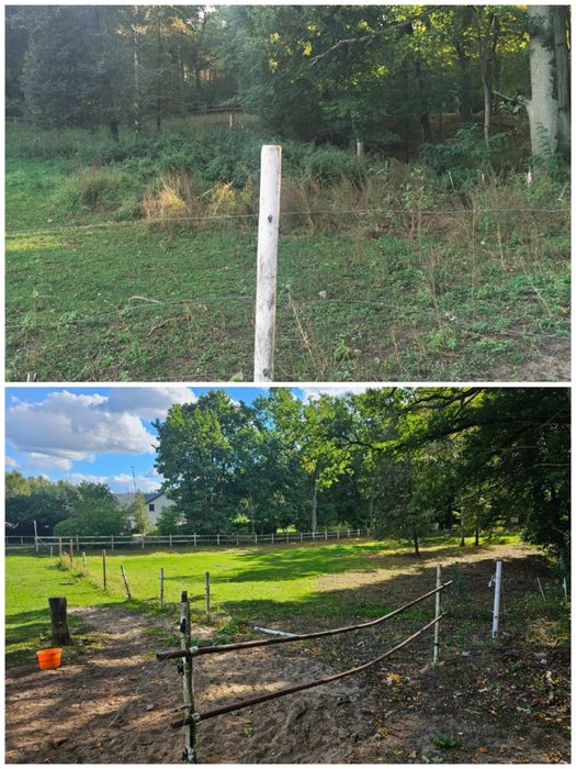 Pielegnacja I czyszczenie ogrodow I dzialek