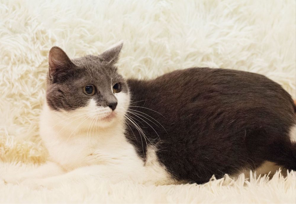 Скромная и красивая Санни ищет домик!