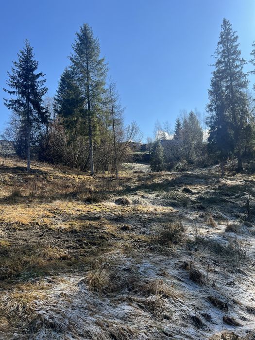 Продам земельну ділянку Слаське 25 сотих під будівництво