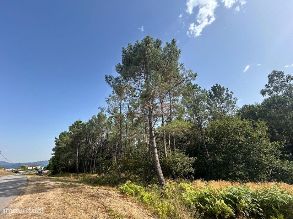 Terreno de construção em Agualonga