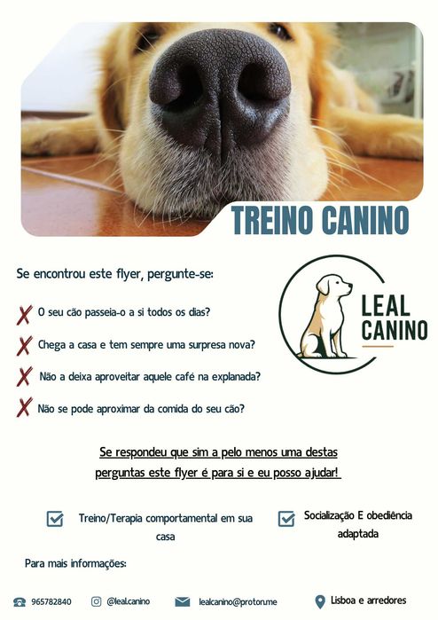Treino Canino e Modificação Comportamental ao Domicílio520117264277186561