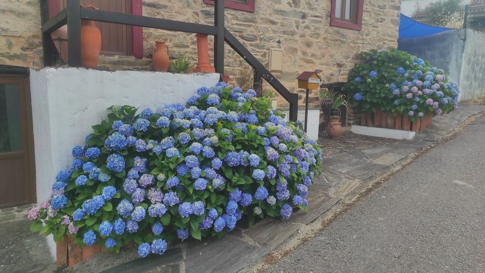 Casa rustica na aldeia.