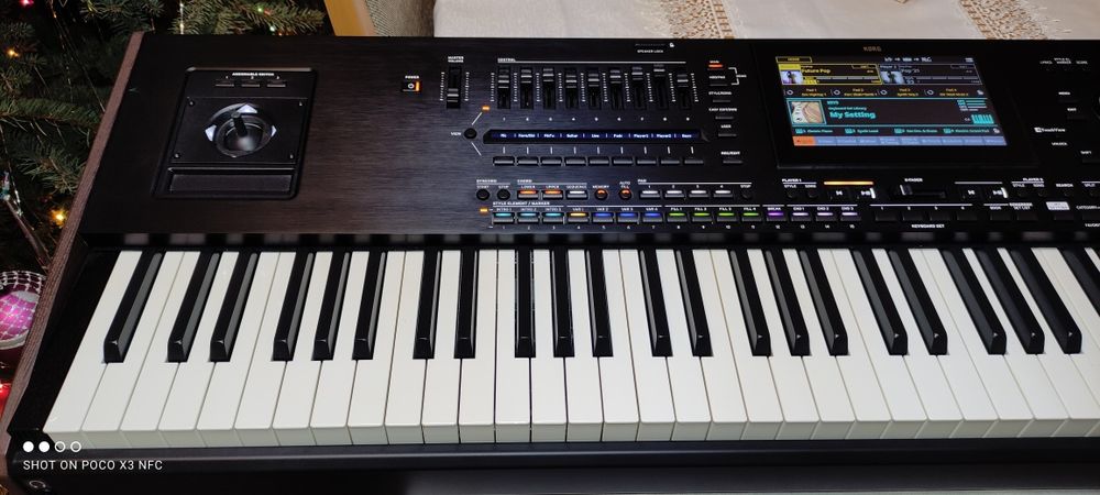 Korg PA 5x 88 +300styli