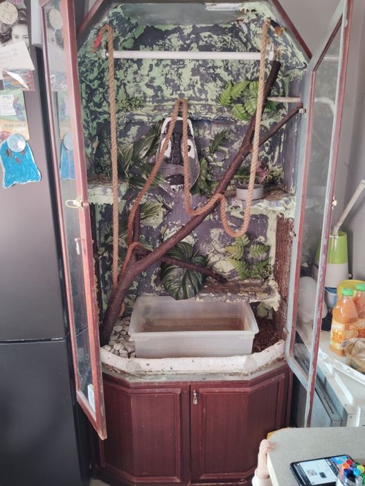 Oddam Terrarium za darmo