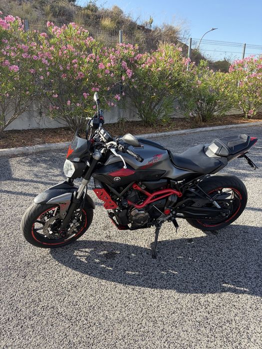 Mt07 (moto cage 2015)