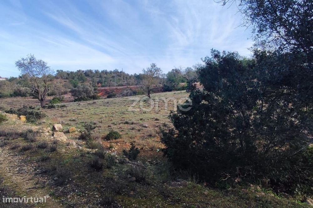Terreno Rústico – Tunes, Silves | 1.480 m²