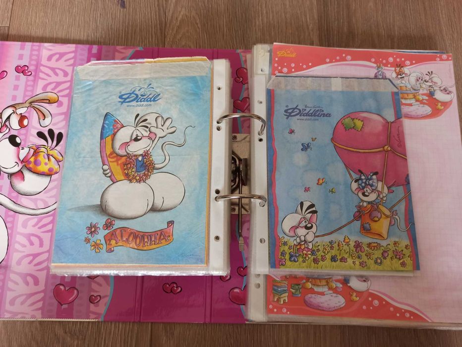Kolekcja duża karteczki do segregatora Diddle unikat 356 sztuk