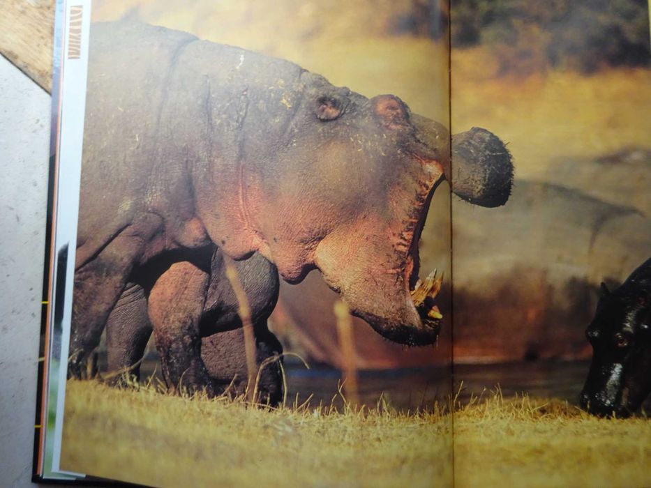 1.001 Maravilhas da Natureza