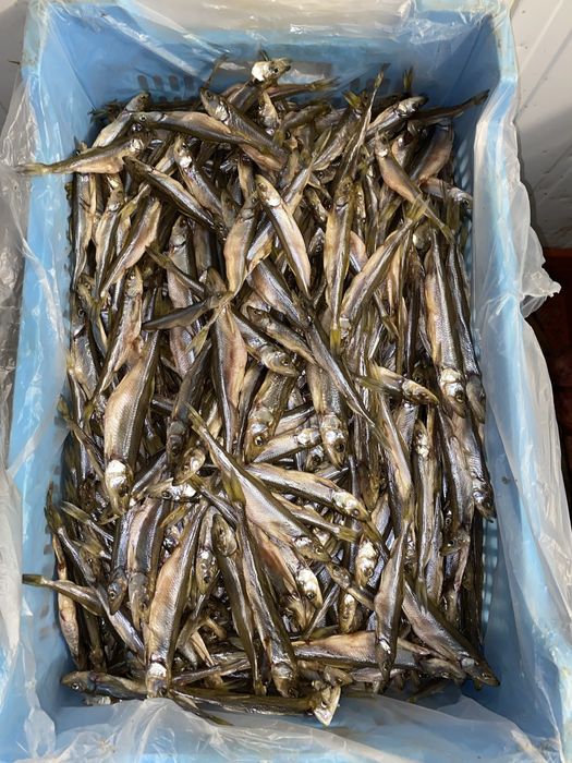 Вялена риба | риба холодного копчення | вʼялена риба | сушена риба