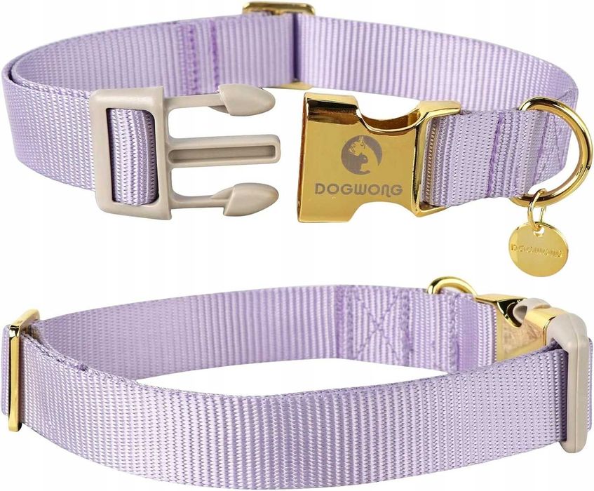 Obroża dla psa DOGWONG s 2 cm 25-40 cm liliowa