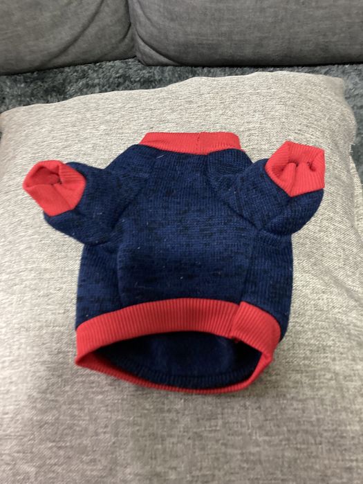 Camisola para cão de raça pequena