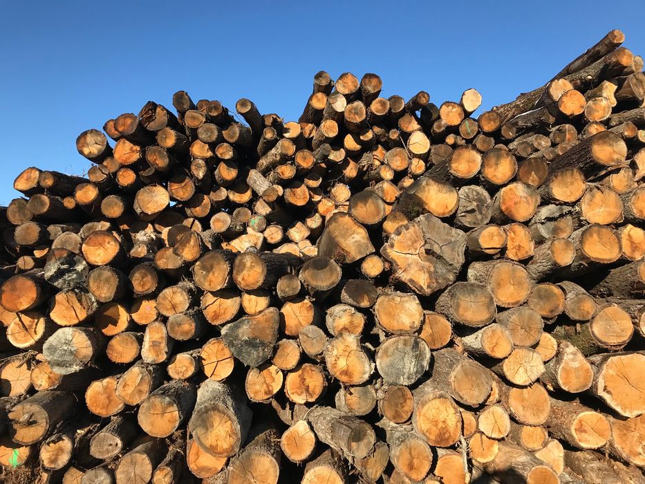 Drewno opałowe DĄB 300zł