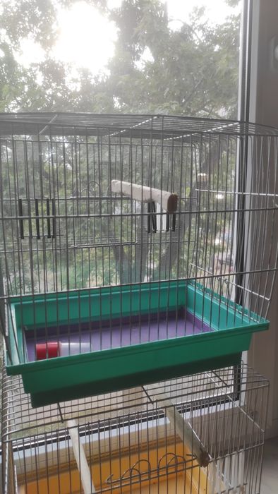 Продам клітку для тварин ціна за 2 шт