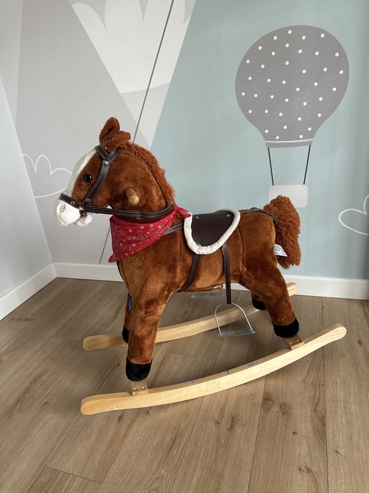 Konik na biegunach grajacy