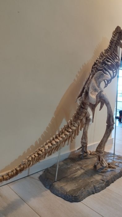Esqueleto dinossauro T- Rex