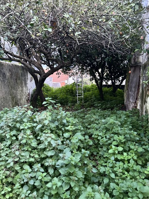2 apartamentos no centro historico de Estremoz