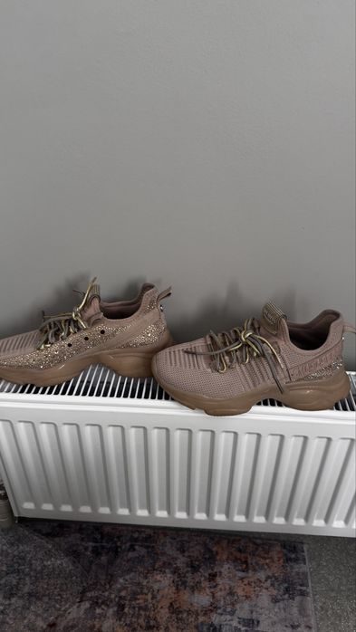 Steve madden кросівки
