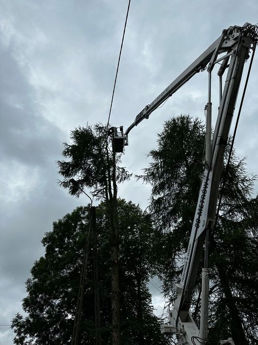 Podnośnik koszowy 30m