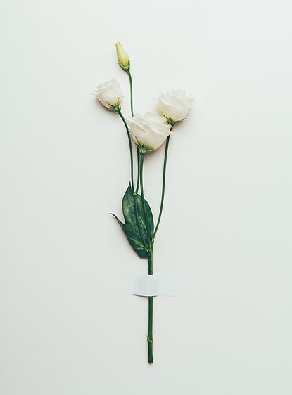 Plakat kwiatów! Kwiaty skandi skandynawski loft minimalizm szary