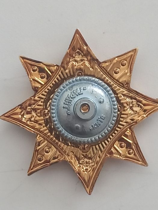 Нагрудний знак ДСНС "Честь і Слава"