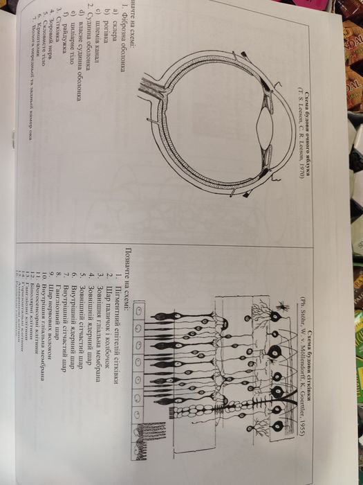 Практикум з гістології, цитології та ембріології. О.М.Гробовий, Ю.Б.Ча
