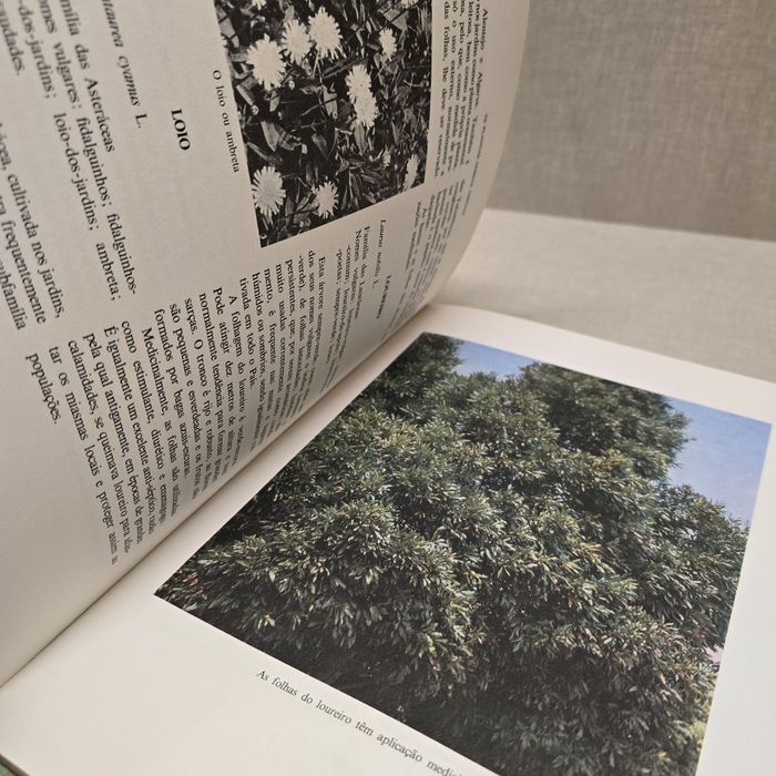 Colecção As Plantas Nossas Amigas