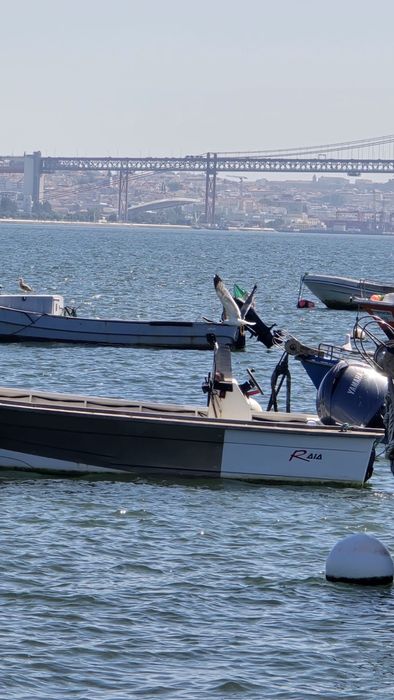 Planeadora 630 yamaha 150cv