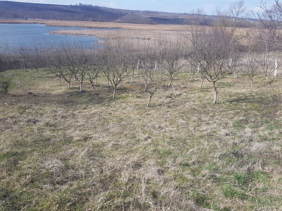 Продаю участок