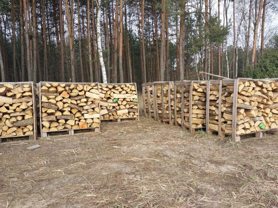Buk Sezonowany Drewno Opałowe Kominkowe Syców I Okolice