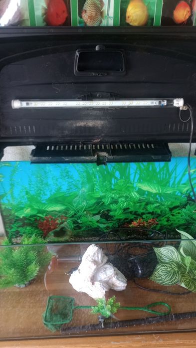 Sprzedam akwarium 60l