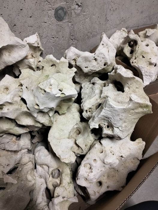 Wapień filipiński - 25 kg