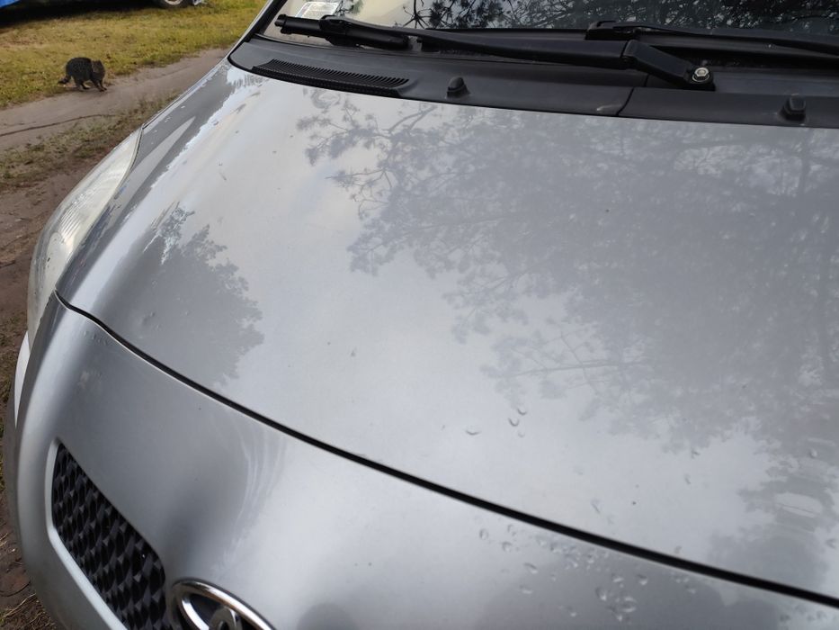 Toyota Yaris II lakier 1F8 maska