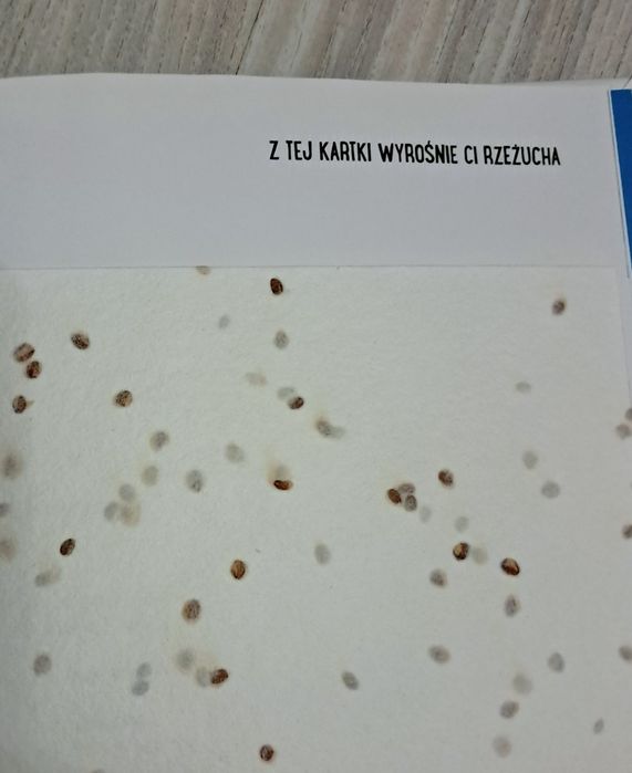 Przepiśnik Roślinne przepisy wielkich nasiona książka kucharska nowa