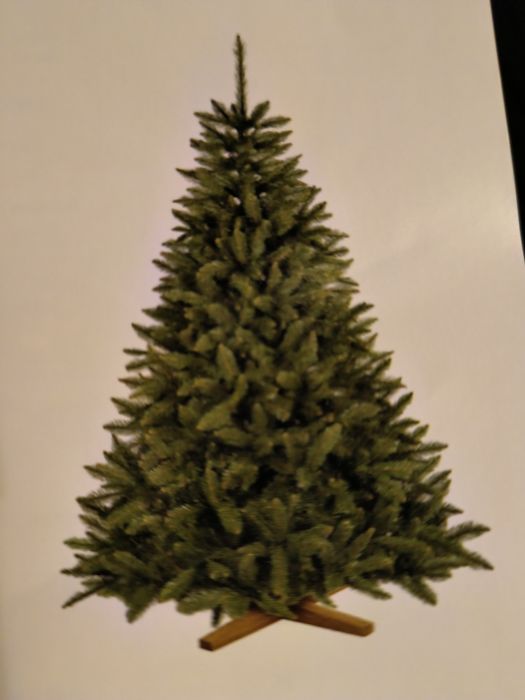 CHoinka 220cm jodła nordmanna